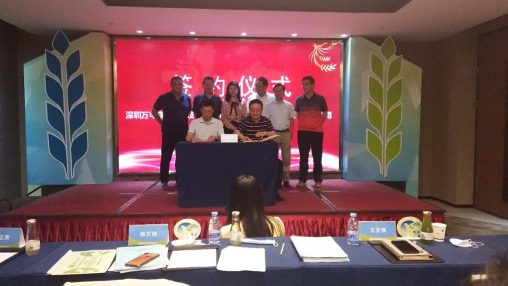 19b997b8efbc4828989741b5c3a52750.png image.png