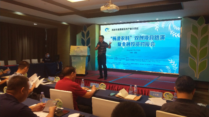 291664d698104d21ba4898e4ff6073bc.png image.png