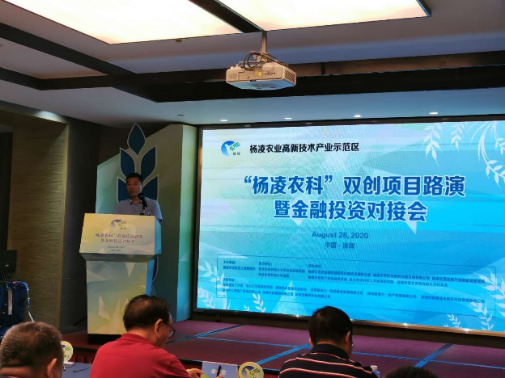 3ebb006fdb804fe980dc7a9ece63d401.png image.png